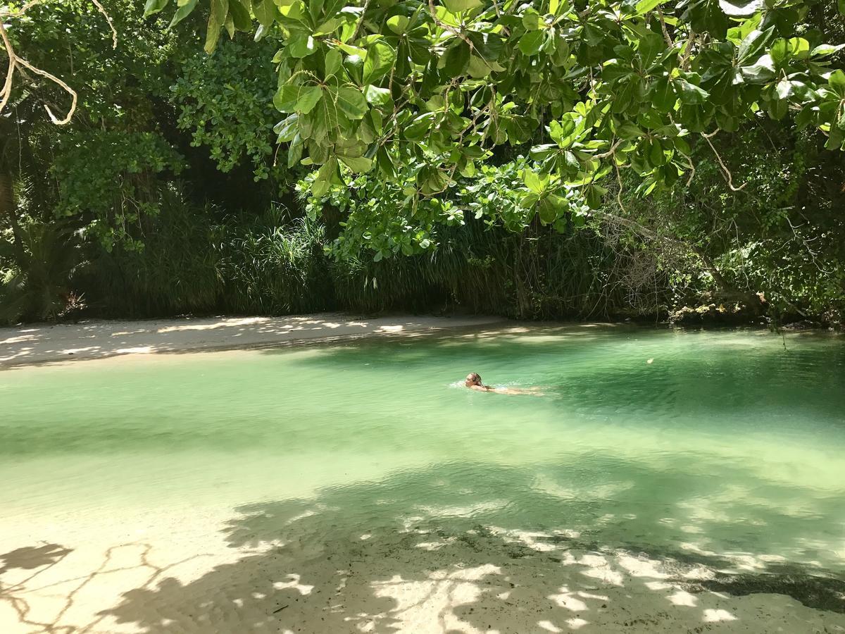 Nature In Portland Port Antonio Ngoại thất bức ảnh