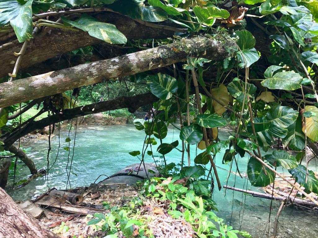 Nature In Portland Port Antonio Ngoại thất bức ảnh