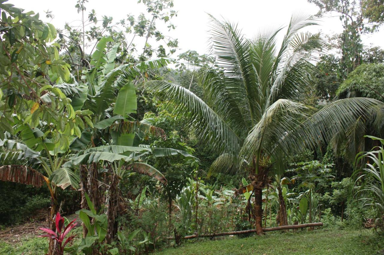 Nature In Portland Port Antonio Ngoại thất bức ảnh